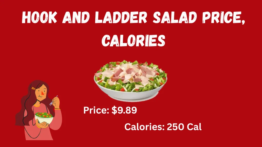 Firehouse Subs Hook and Ladder Salad | Price, Calories & Review | 2 Hook and Ladder Salad Price, Calories